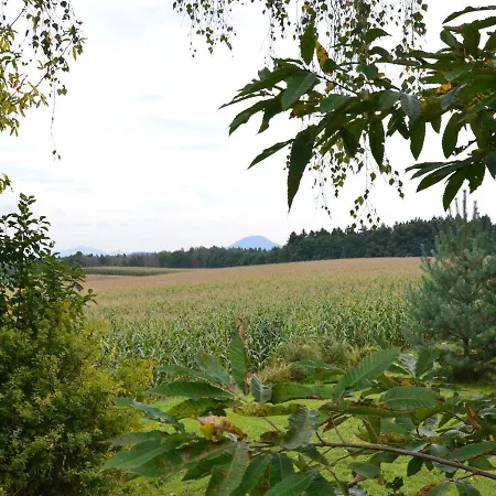 Detached Holiday In Saxony With Gorgeous View